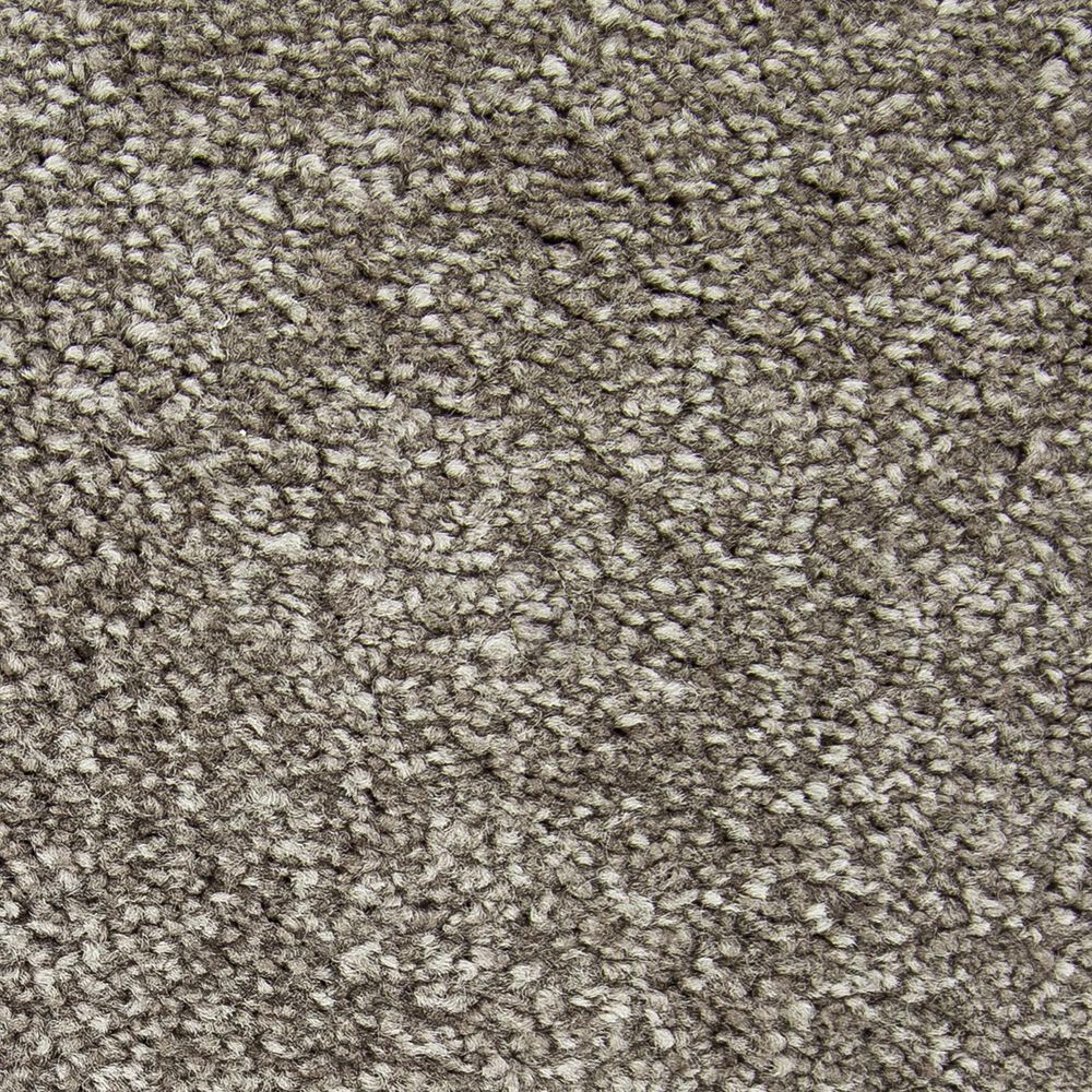 Mohawk Memorable View Carpet in Hearthstone, , large
