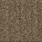 Shaw Serene Stria Carpet in Acorn, , large