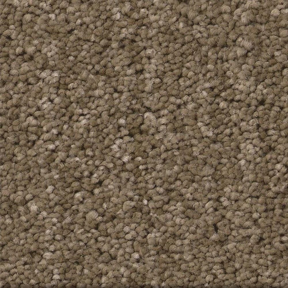 Shaw Serene Stria Carpet in Acorn, , large