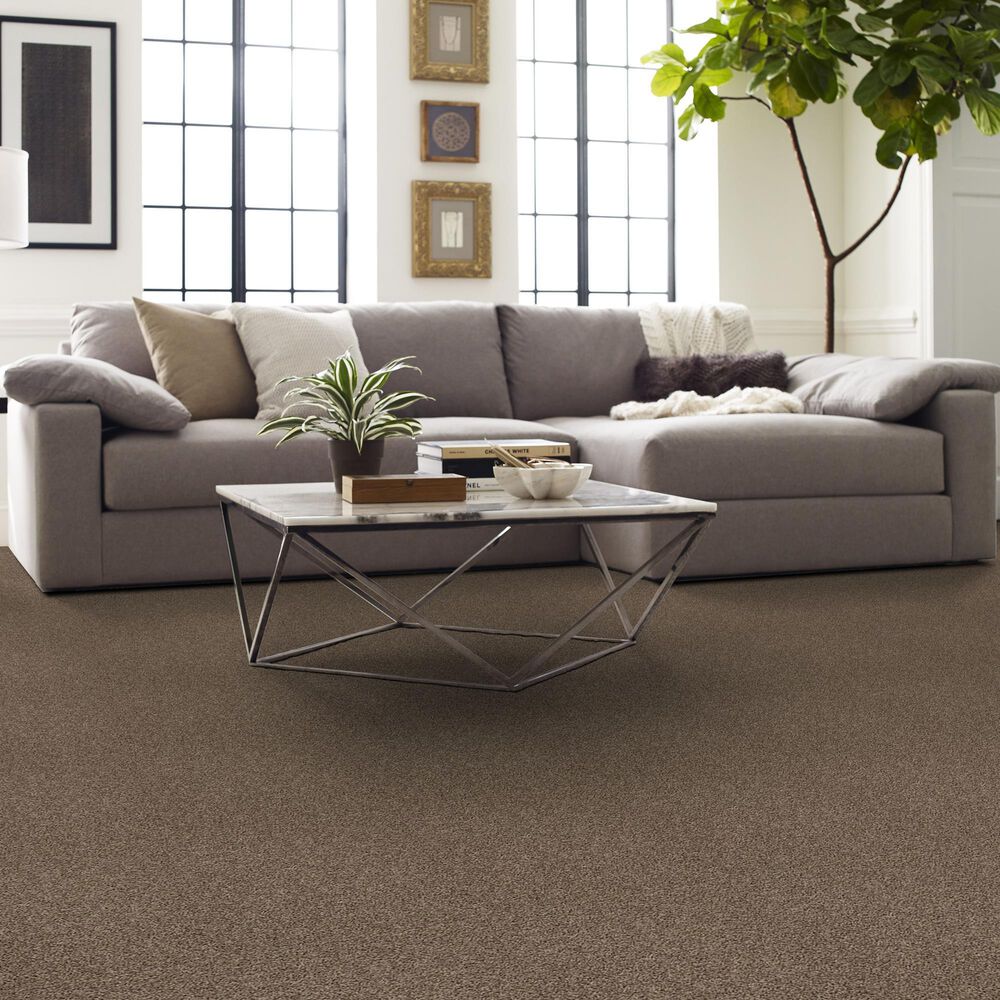 Shaw Del Morro Carpet in Fallen Rock, , large