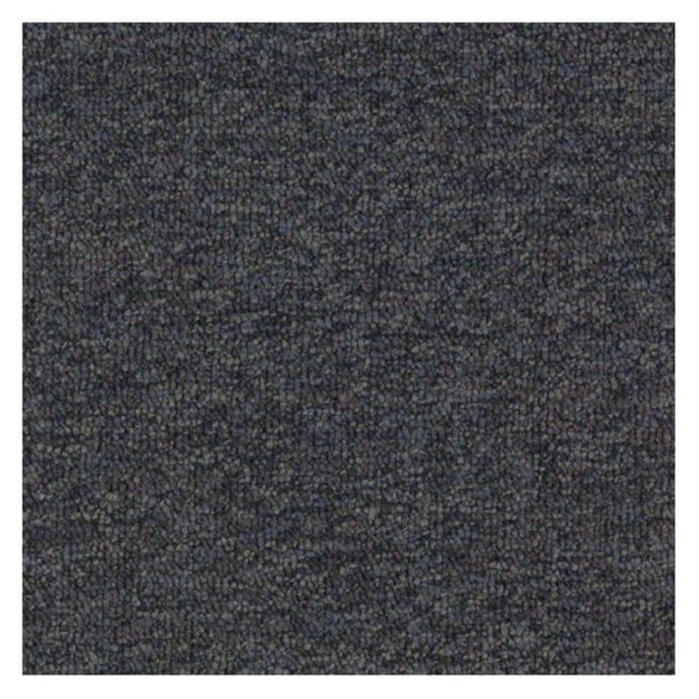 Shaw Franchise Carpet in Black Diamond, , large