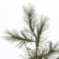 The Gerson Company 5" Pre-Lit Artificial Christmas Tree in Green, , large