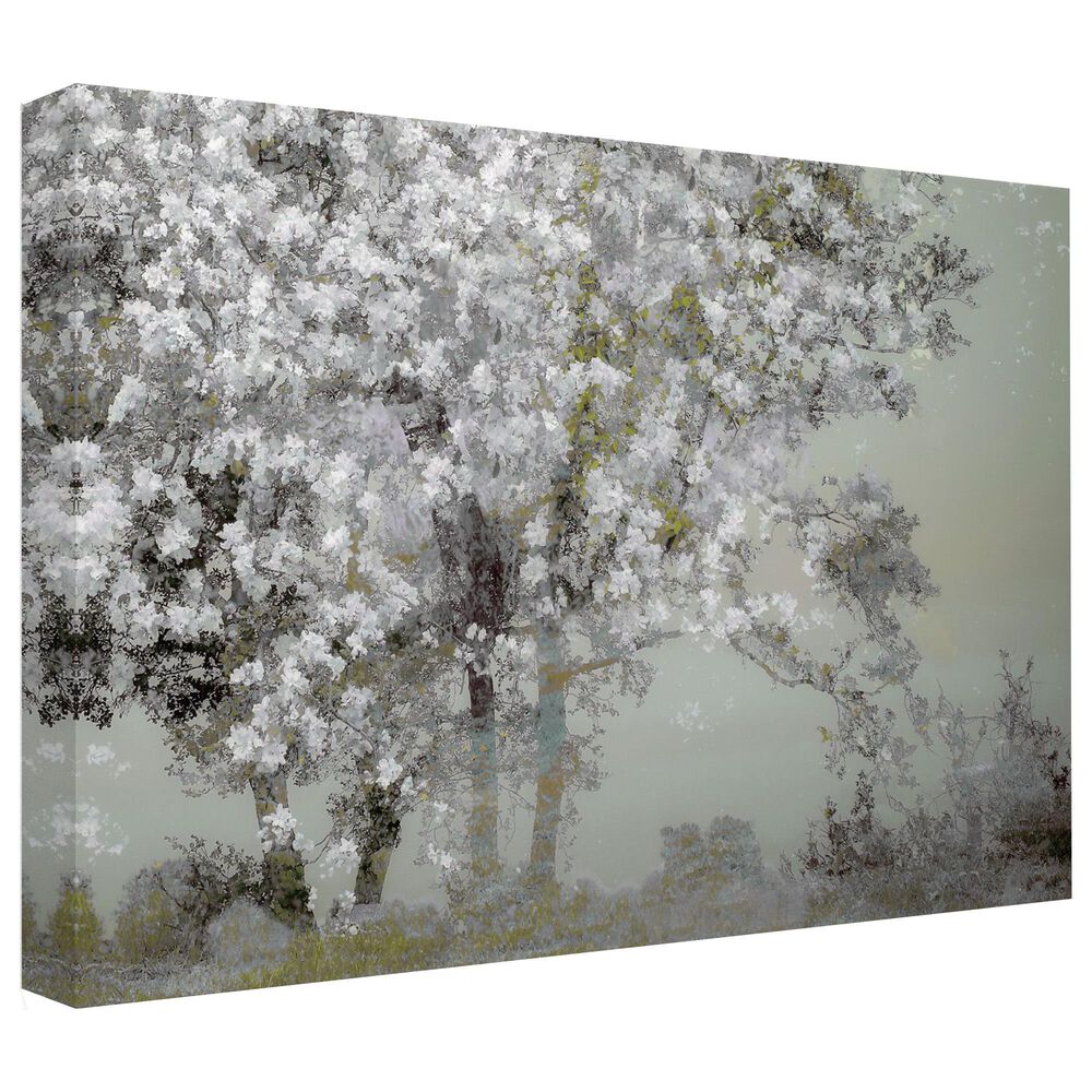 Timberlake Nel Talen 'Spring' 30" x 47" Canvas Art, , large