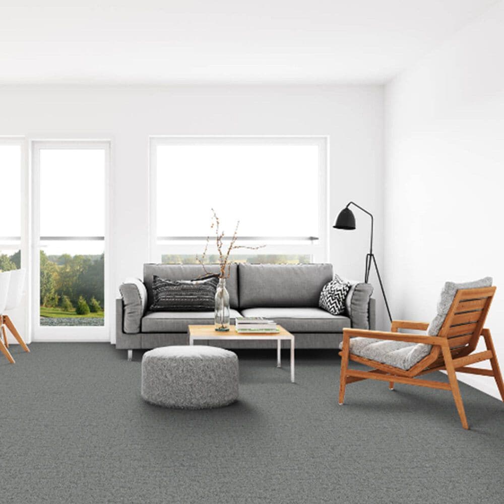 Dixie Home Genuine Carpet in Valid, , large