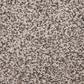 Dixie Home Debut Carpet in Salt and Pepper, , large