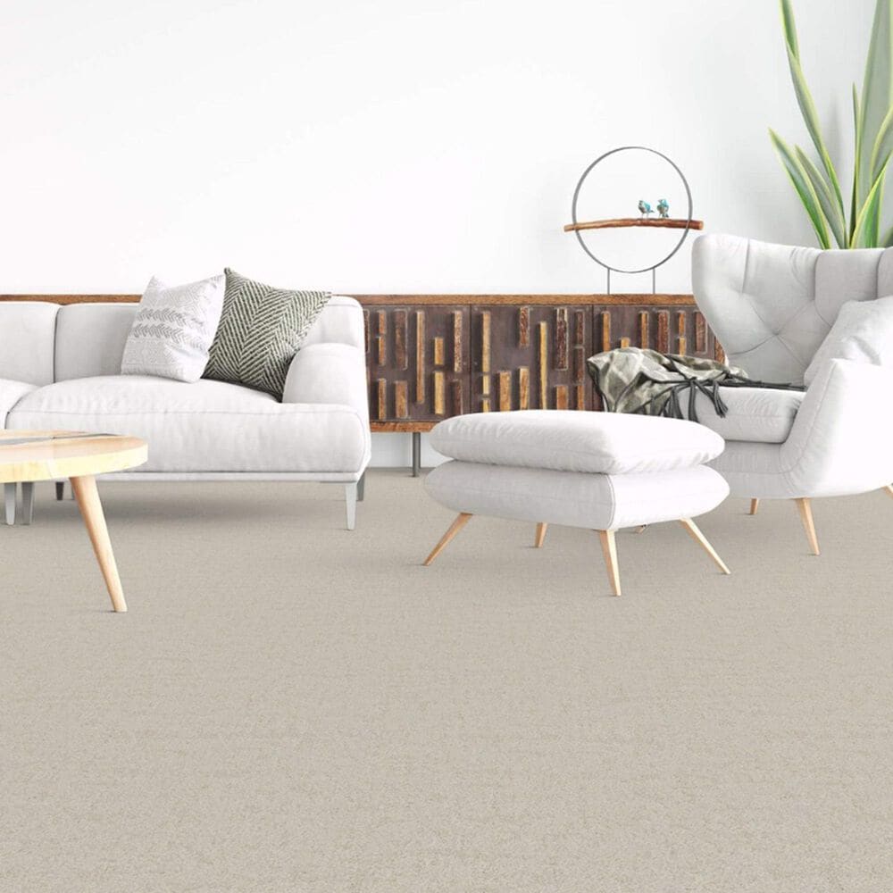Dixie Home Genuine Carpet in Honest, , large