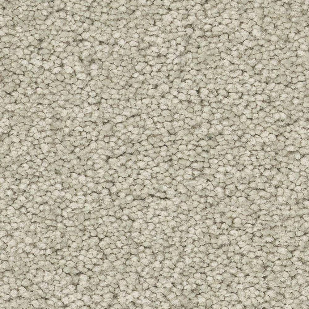 Anderson Tuftex Elegant Beauty Carpet in Aloe Wash, , large
