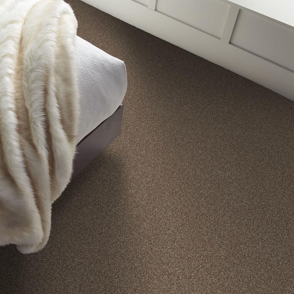 Shaw Yes You Can II Carpet in Worn Path, , large