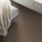Shaw Yes You Can II Carpet in Worn Path, , large