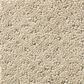 Shaw Foundations Infallible Instinct Carpet in Park Avenue, , large