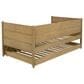 Coaster Calinda Twin Daybed with Trundle in Warm Natural Brown, , large