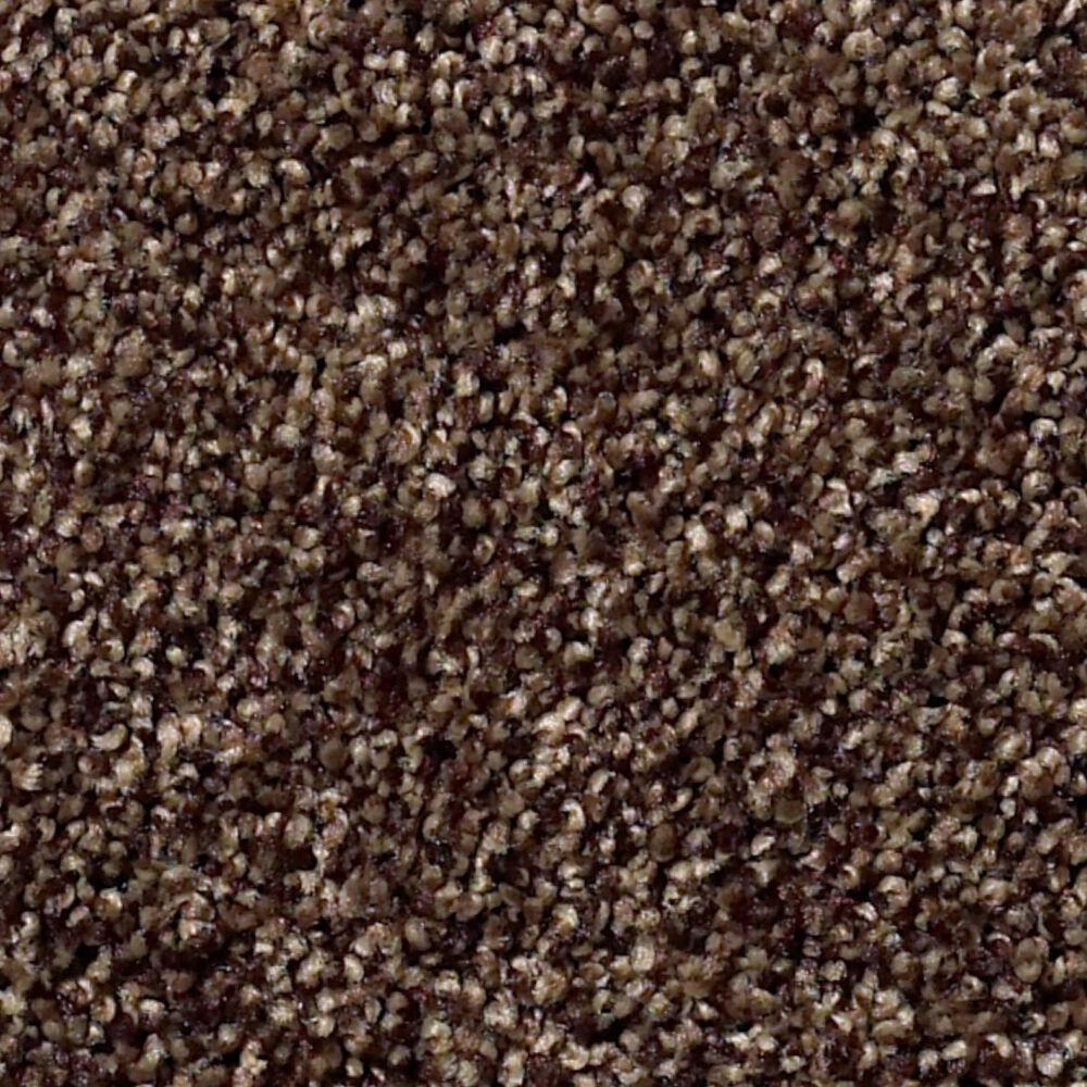 Shaw Find Your Comfort TT II Carpet in Chocolate Treat, , large