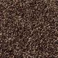 Shaw Find Your Comfort TT II Carpet in Chocolate Treat, , large