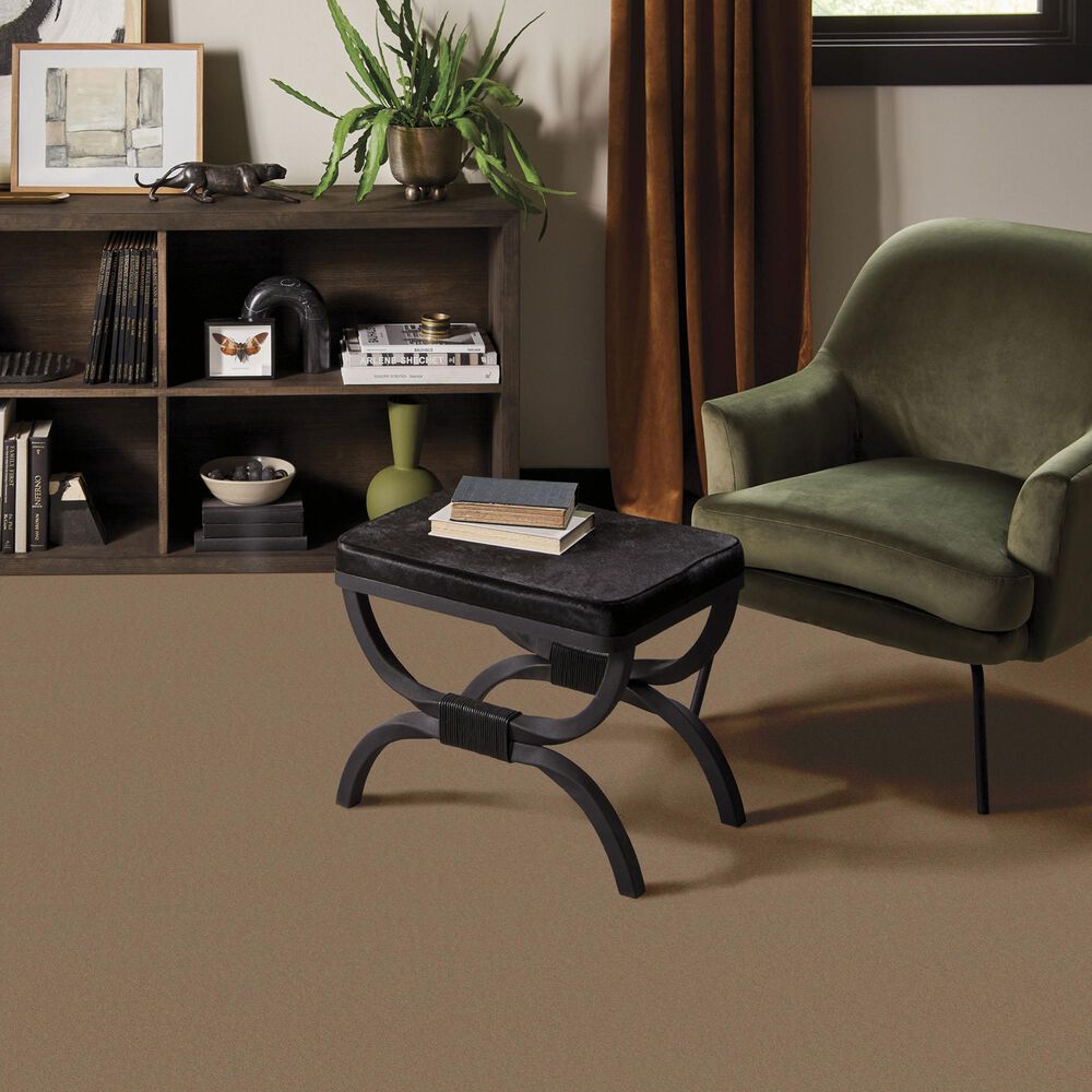 Anderson Tuftex Finery Carpet in Deer Path, , large
