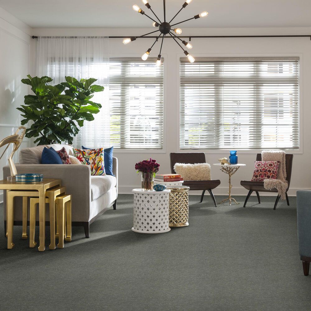 Anderson Tuftex Contour Carpet in Pine Forest, , large