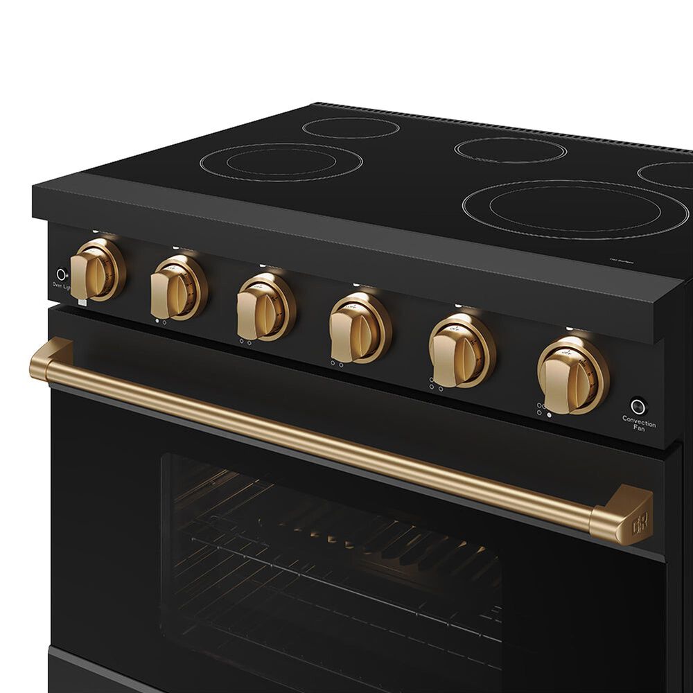 Thor Kitchen Gordon Ramsay 6 Cu. Ft. Professional Freestanding Electric Range with Bronze Handle Kit in Black, , large