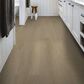 Shaw Dwell Light Roast 9" x 60" Luxury Vinyl Plank, , large