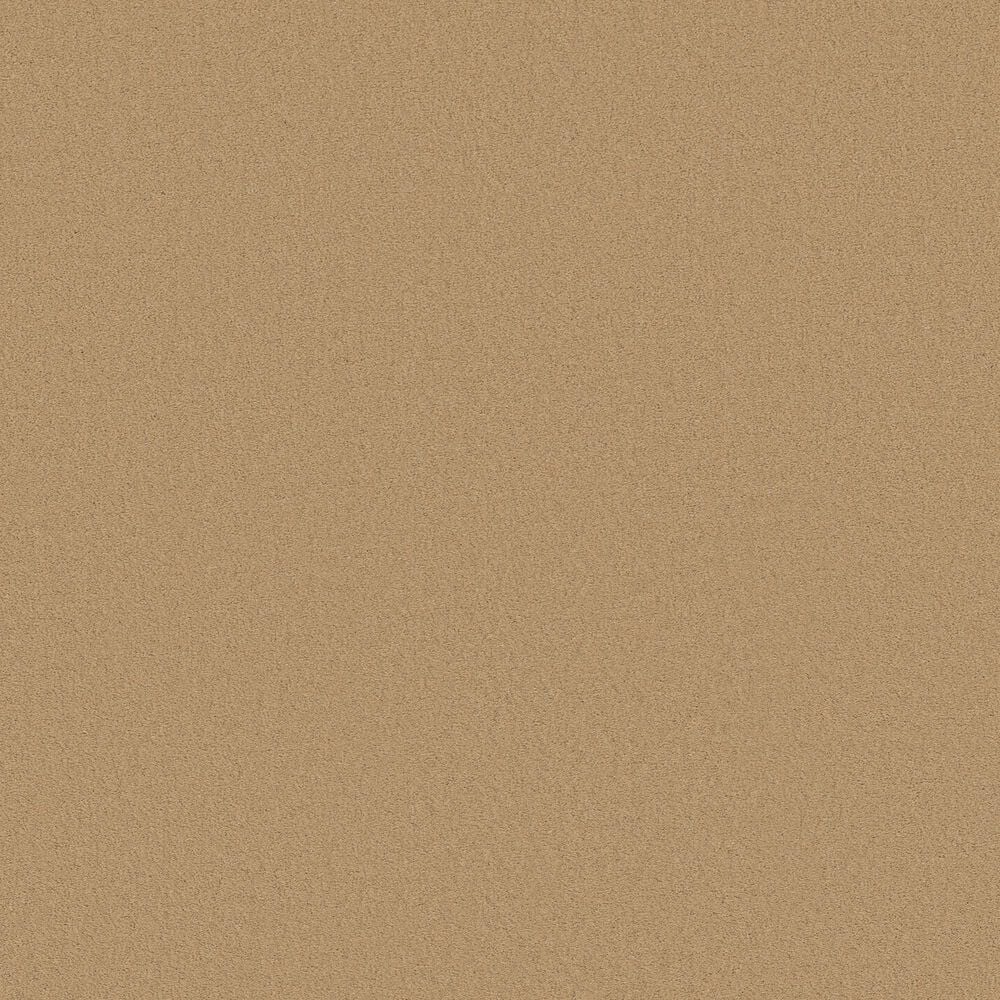 Anderson Tuftex Finery Carpet in Lamp Light, , large