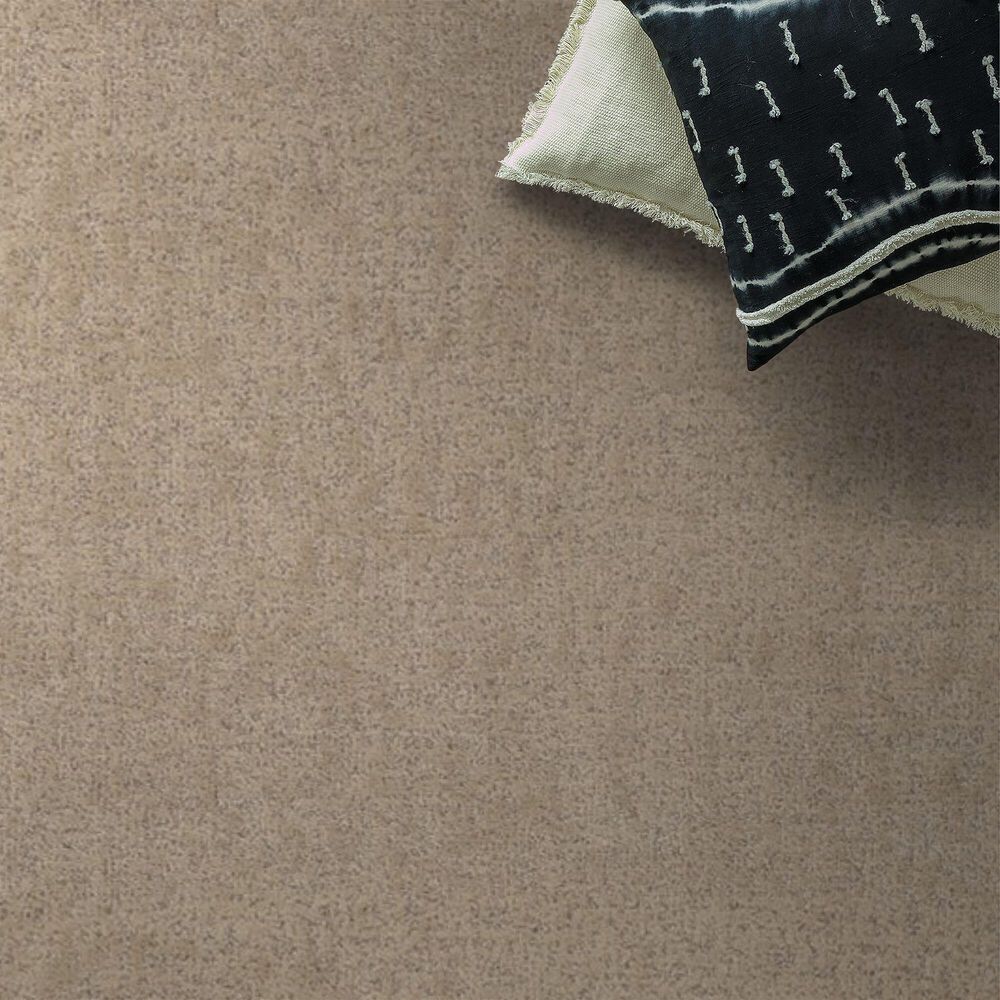 Shaw Home Within Carpet in Worn Path, , large