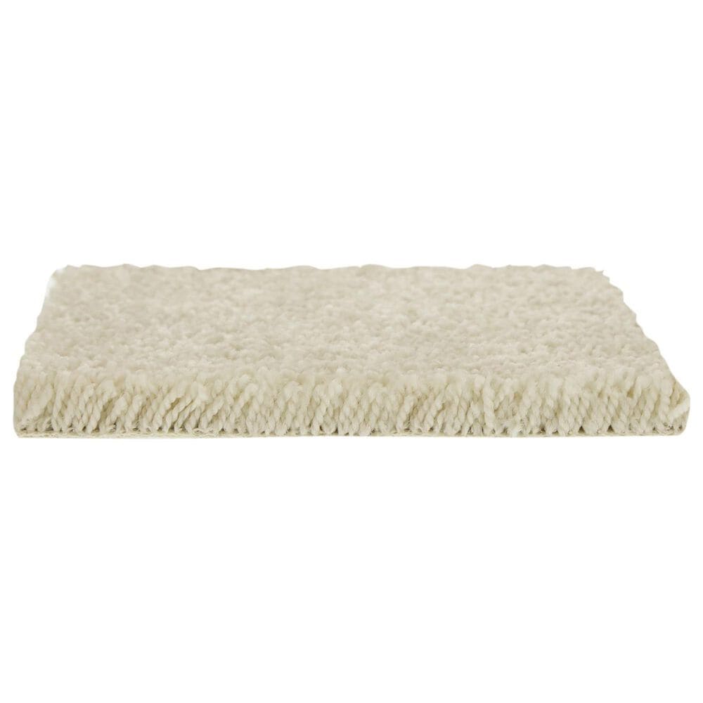 Mohawk Popular Design Carpet in Winter Wind, , large