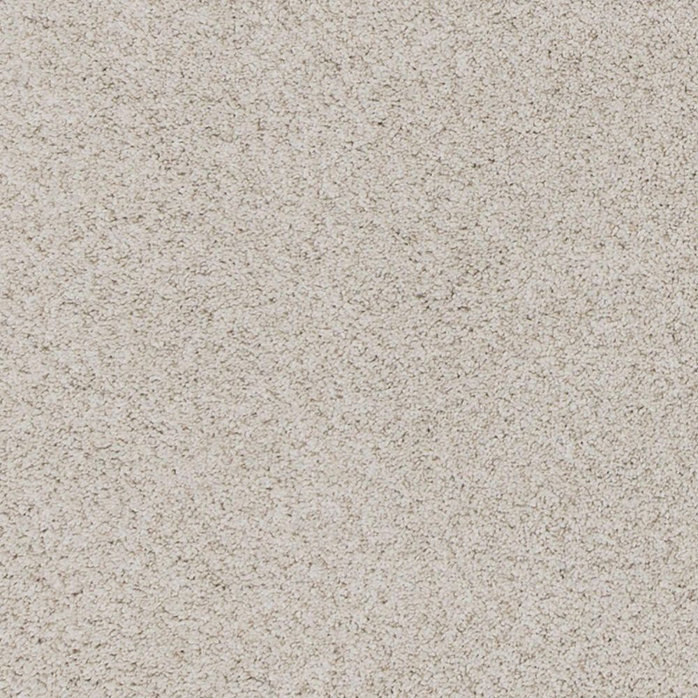 Mohawk Canine Comfort Carpet in Canvas Cloth, , large