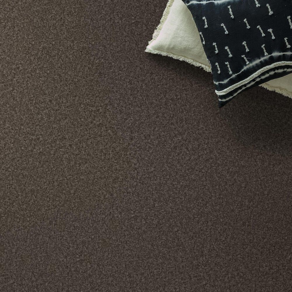 Shaw You Got This II Carpet in Urban Rustic, , large