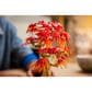 LEGO Botanicals Japanese Red Maple Bonsai Tree Building Set, , large