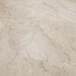 MS International Camuflage Beige 24" x 48" Porcelain Tile, , large