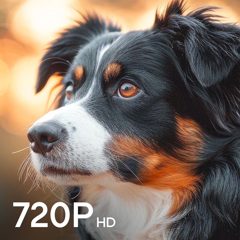 Element 32" Class Genesis Series 720p HD - Smart Xumo TV with 2.0 Soundbar in Black, , large