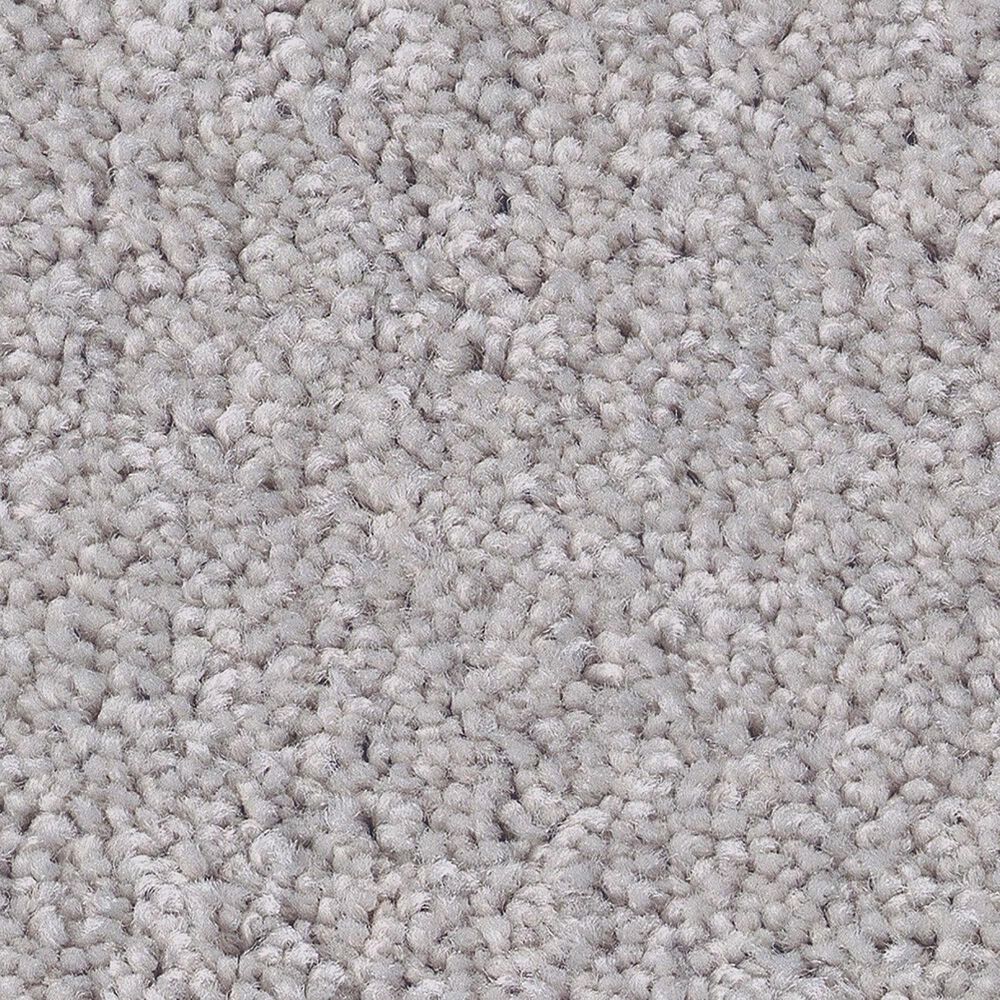 Shaw Las Cruces Carpet in Gateway, , large