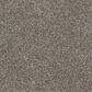 Dixie Home Riverbend Carpet in River Rock, , large