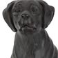 Maple and Jade Dog Decorative Sculpture in Polished Brown, , large