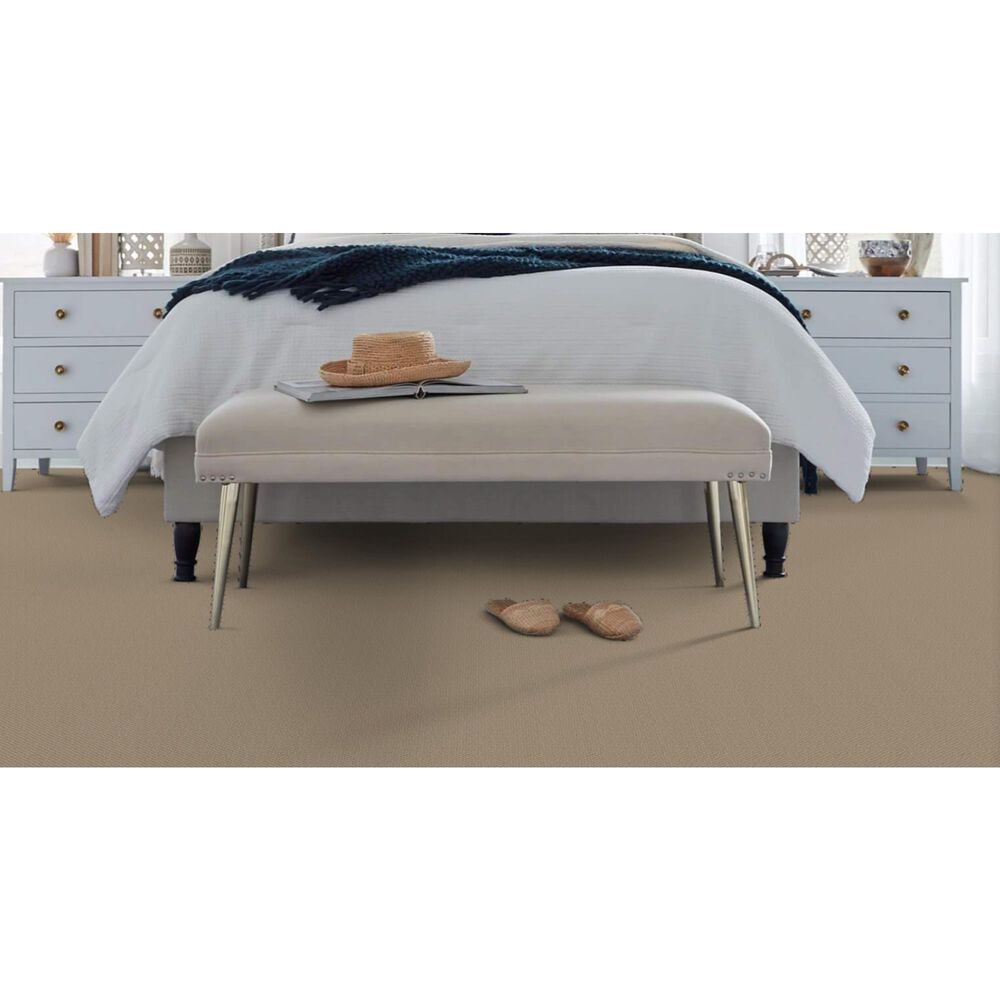 Masland Festivities Carpet in Bistre, , large