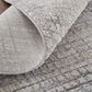 Feizy Lennon 4" x 6" Gray and Beige Area Rug, , large