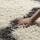 Safavieh Dallas Shag SGD257H-10 10" x 14" Ivory/Dark Grey Area Rug, , large