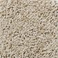 Shaw Foundations Take The Floor Twist I Carpet in Hickory, , large