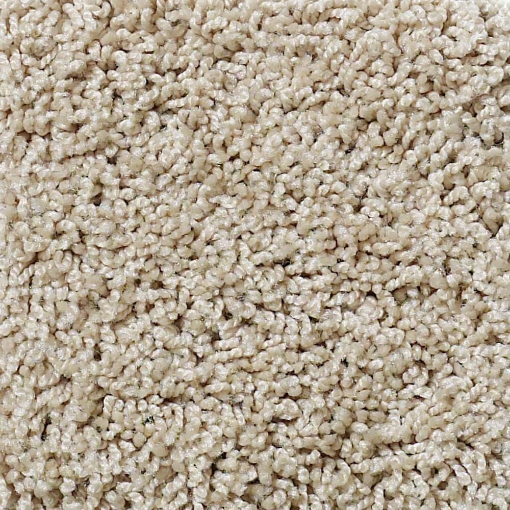 Shaw Foundations Take The Floor Twist I Carpet in Hickory, , large