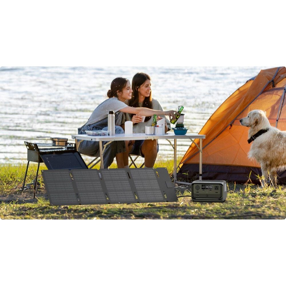 EcoFlow 60W Portable Solar Panel in Black, , large