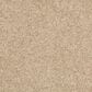 Mohawk Bold Creation Carpet in Hickory Bark, , large