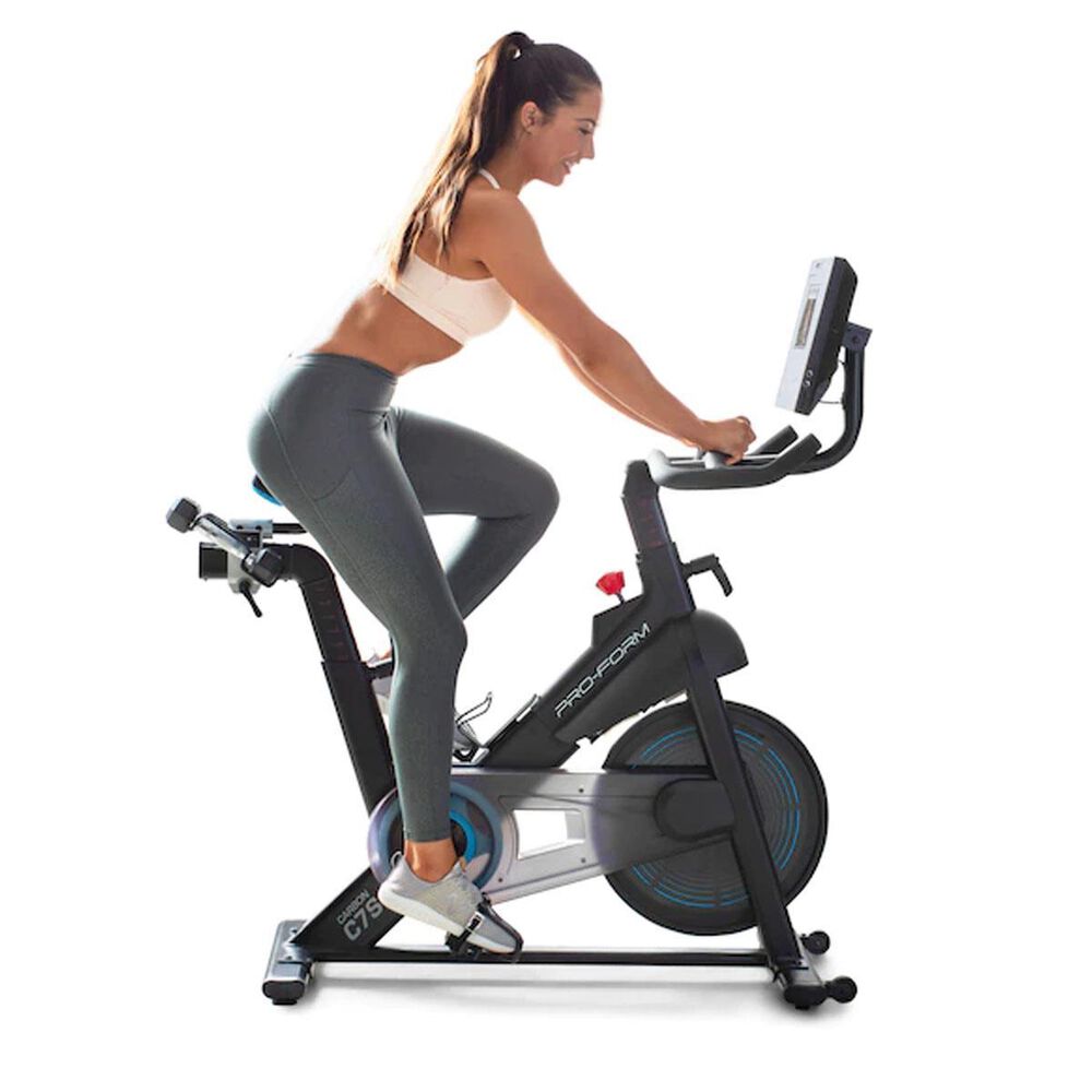 proform magnetic indoor cycle