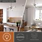 Vaxcel Avalon 3-Light Pendant in Matte Black, , large