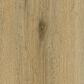 Paramount Bliss 5.0 Andrusia 9" x 60" Luxury Vinyl Plank, , large