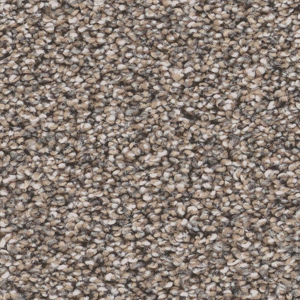 Shaw Grand Influence I Carpet in Stepping Stone, , large