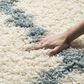 Safavieh Dallas Shag SGD257J-10 10" x 14" Ivory/Light Blue Area Rug, , large