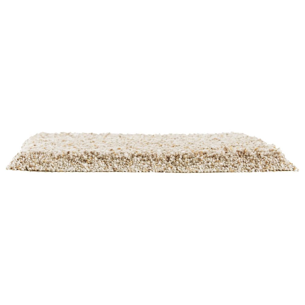 Mohawk Exquisite Appeal Carpet in Jack Rabbit, , large