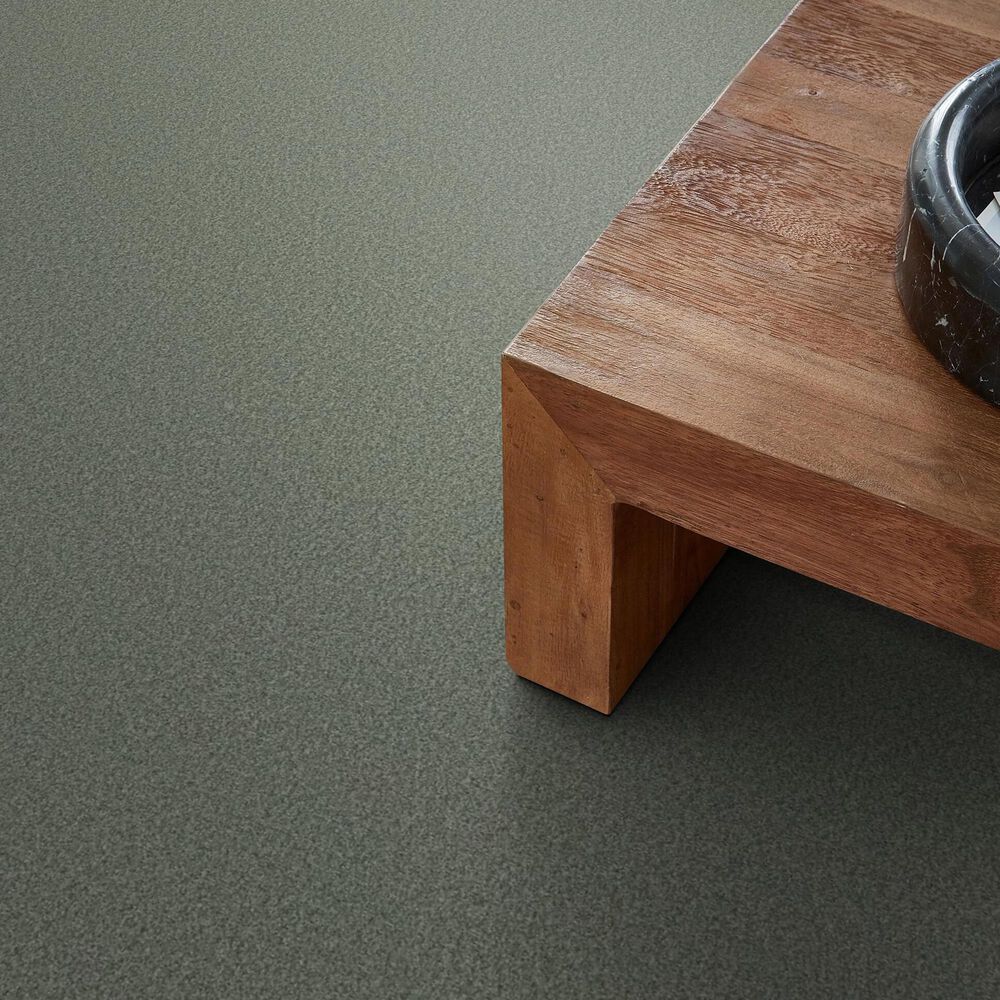 Shaw Tonal Comfort I Carpet in Meadow, , large