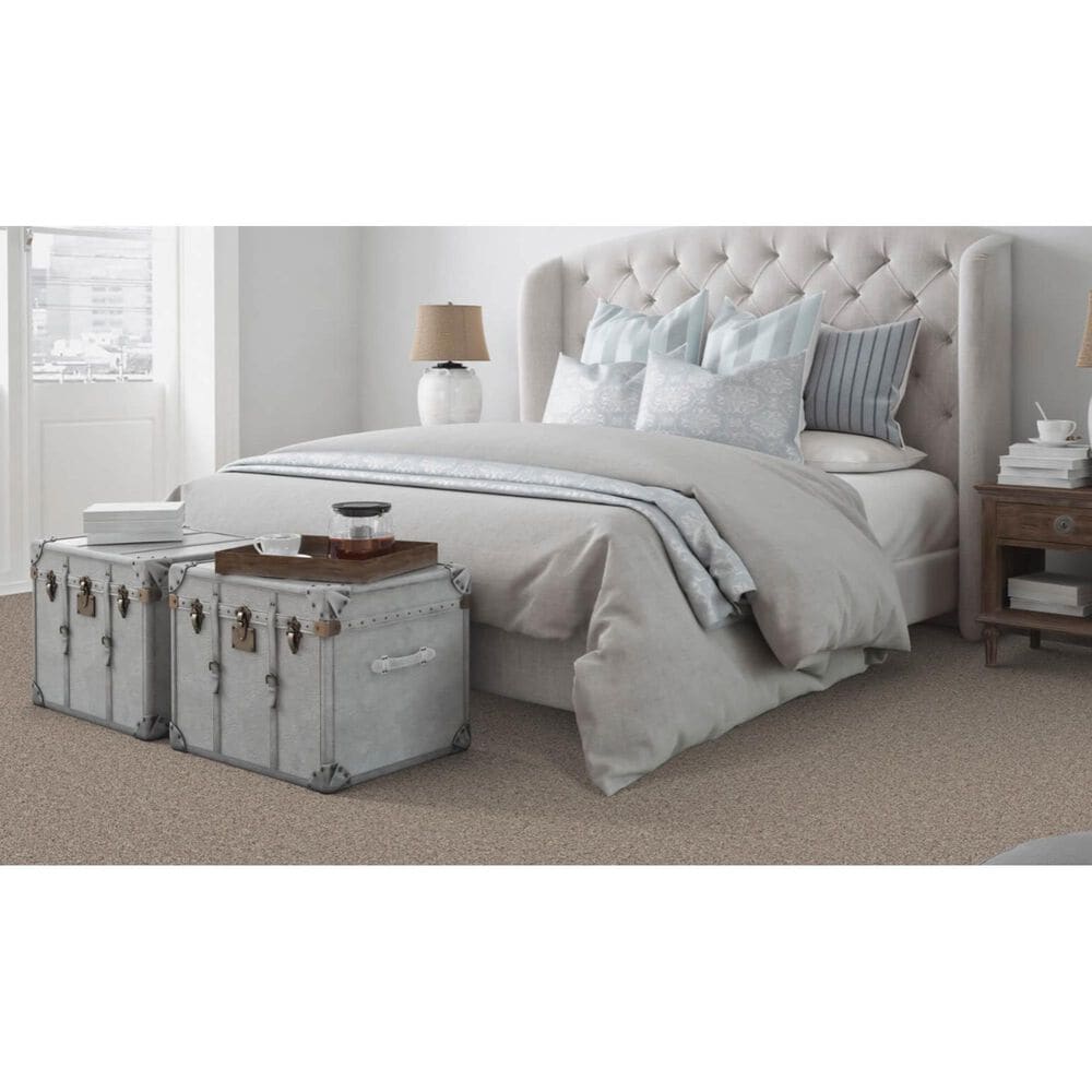 Dixie Home Devotion Carpet in Driftwood, , large
