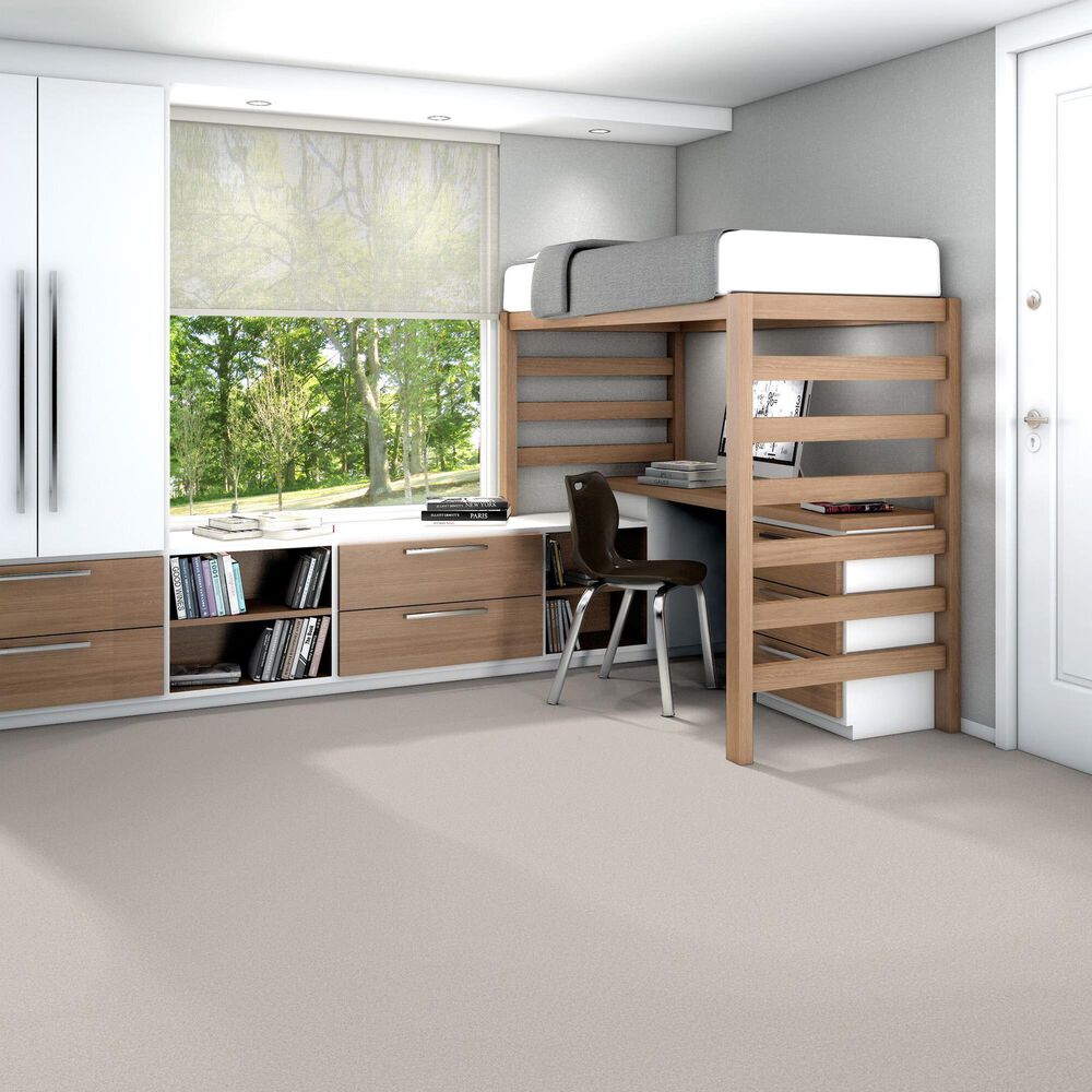 Shaw You Got This III Carpet in Whitecap, , large