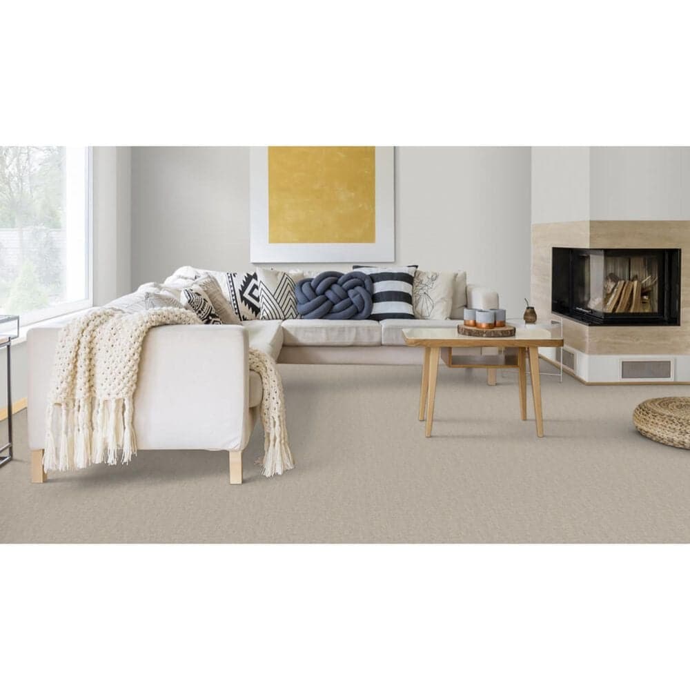 Dixie Home Crystal Oasis Carpet in Neutral Ground, , large