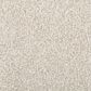 Karastan Cordial Invitation Carpet in Pale Quartz, , large